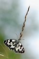 Demi deuil_05